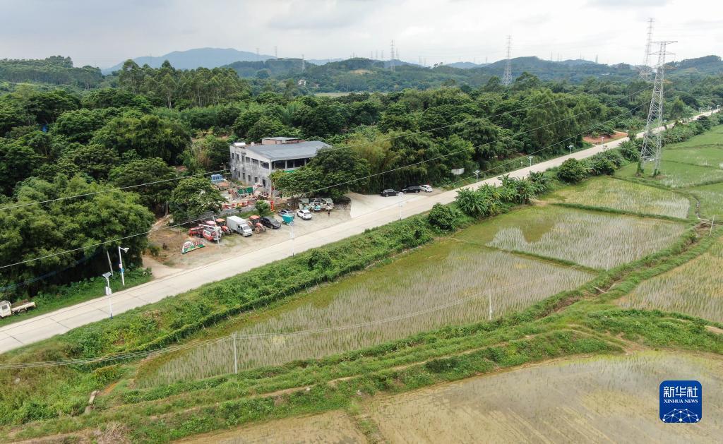 彩票免费彩金网站大全